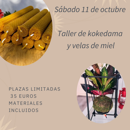 Taller kokedama + velas de miel