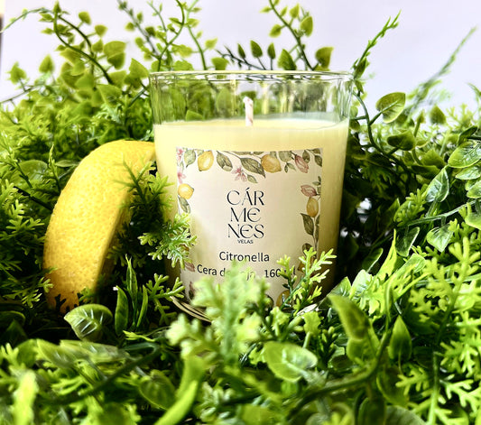 Vela citronella